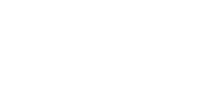 Professinal Learning Connections